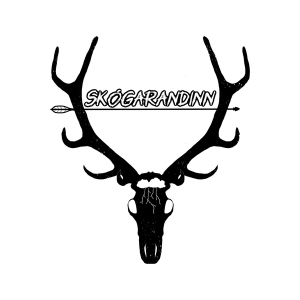 Skógarandinn